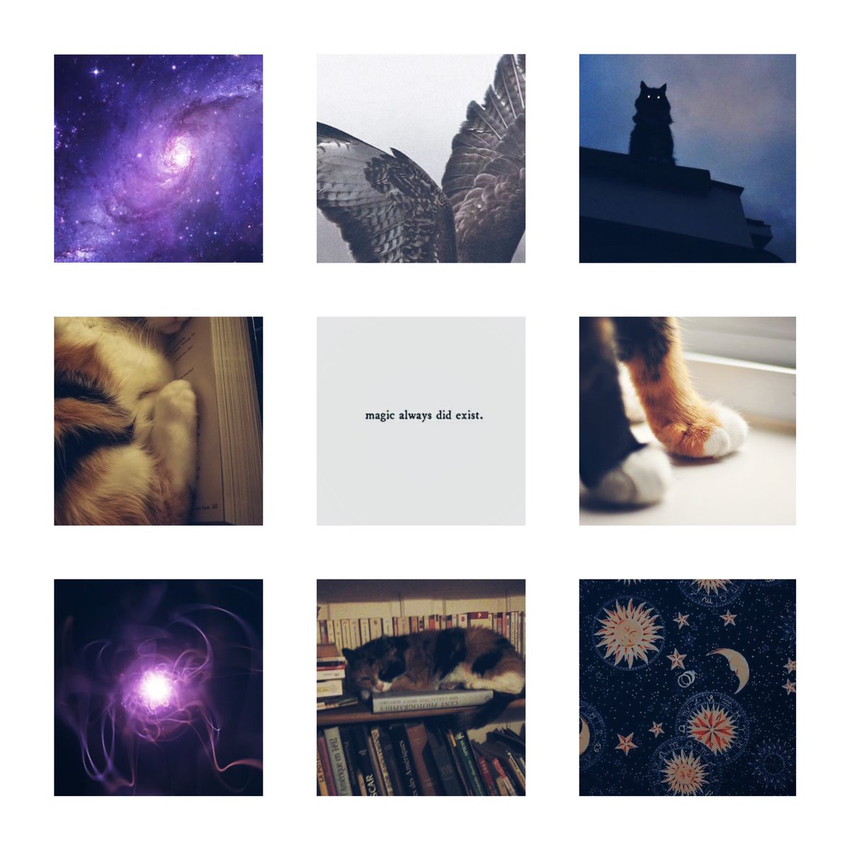 ❝ I won’t be teased, heckled, pestered or vexed, Mr Dekarios. ❞

⠀⠀⠀⠀ ⠀⠀⠀tara the tressym, faithful companion of gale of waterdeep. absolutely no ships are you insane. era flexible. adult themes ahead. another by #ᴘᴇɴᴇᴍᴜᴇʟ

RT?