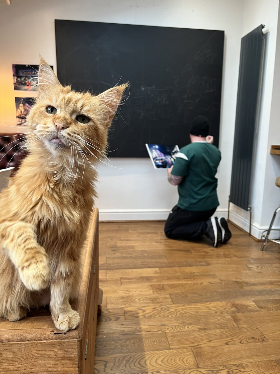 mark_WANM's tweet photo. Happy Sunday all, had a tasty breakfast and the music is on! Time to start on my new painting. Inspired by @dankitchener ‘s entry for the @background_bob exhibition. Mine is a neon street scene too of a place that will always be close to my heart. Can guess where it is? #cat #art https://t.co/ETt6ubZlEo