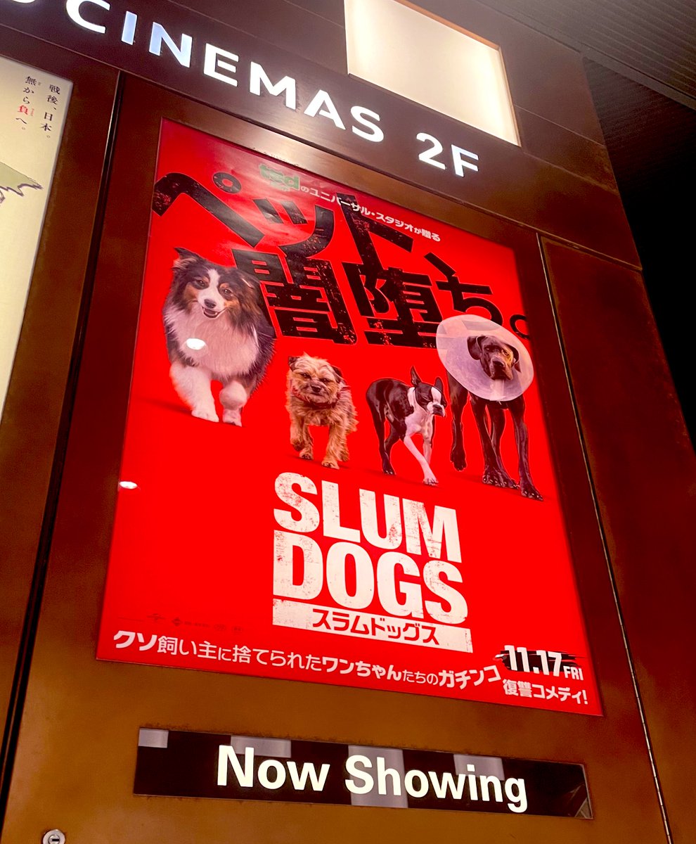 _hiro59's tweet photo. せっかく外出したので闇落ちしたペット見て帰ります☺️
#SLUMDOGS https://t.co/MuOKSkF9jK
