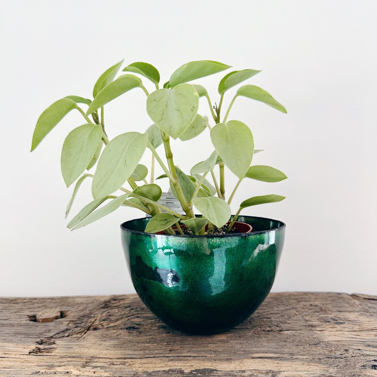 Large Emerald Green Enamel Bowl tuppu.net/48213a6d #shopsmall #bizbubble #giftideas ##UKGiftHour #UKHashtags #inbizhour #MHHSBD #HandmadeHour #GreenBowl