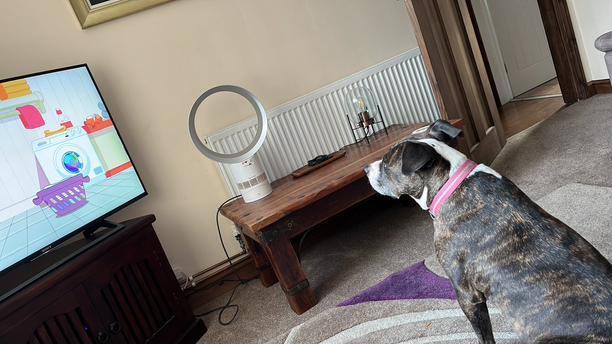MrsCurtins's tweet photo. Ooohhhh Saffi loves Bluey ! #BlueyXboxSweepstakes https://t.co/OMifGllXh1