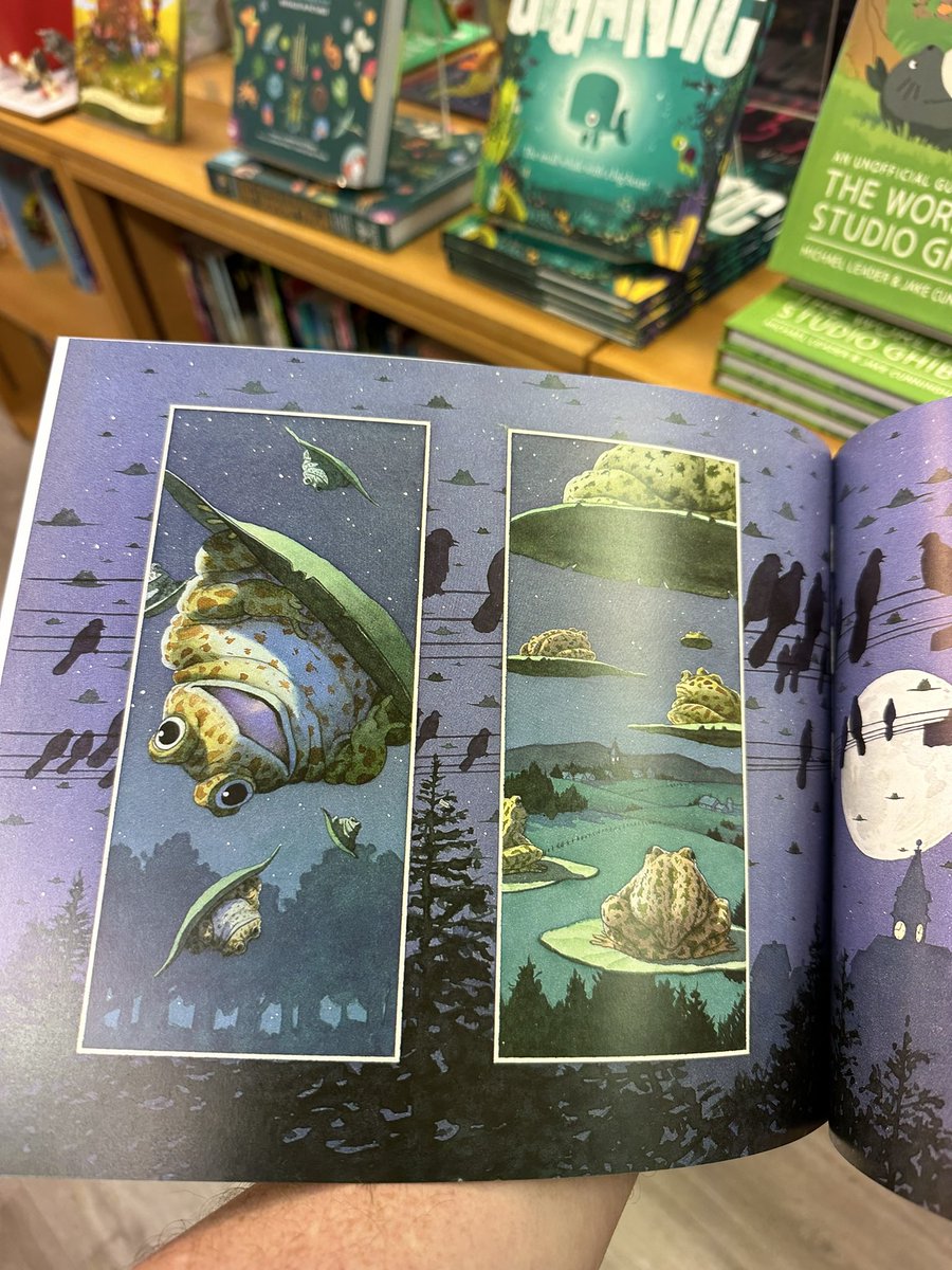 sbutlerbooks's tweet image. Working in a bookshop introduces you to a squillion weird and wonderful books you’d never have found otherwise.

Tuesday by #DavidWiesner is a wordless picture book about a night when hundreds of frogs go out for a joyride on flying lillypads. Brilliantly bonkers and I love it 🐸