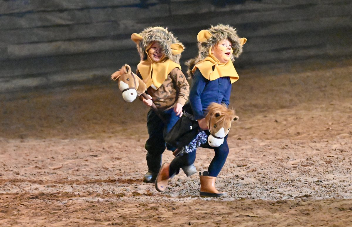 RM1837's tweet photo. Wat hebben ons Equitatus jeugdbestuuur en de jeugdcommissie (met wat hulp van de instructeurs en heeeeeeel veeeeel vrijwilligers 😉) weren fantastische show van het jeugdcarrousel gemaakt gisteren! Het was TOP! 🤩
#jeugdcarrousel #equitatus https://t.co/TTbZ41Sft7