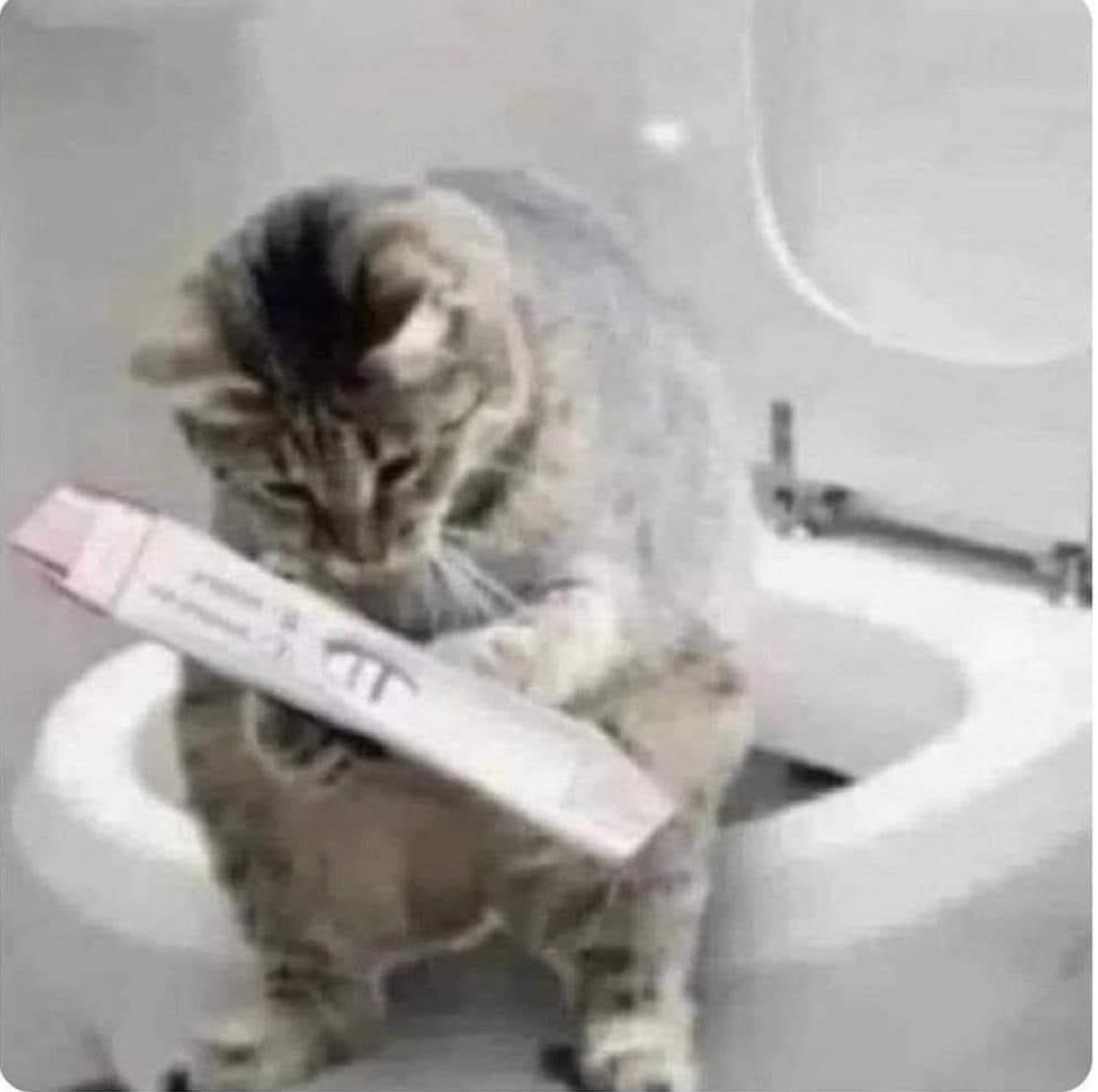 وقت بسينتك تهرب يومين وترجع