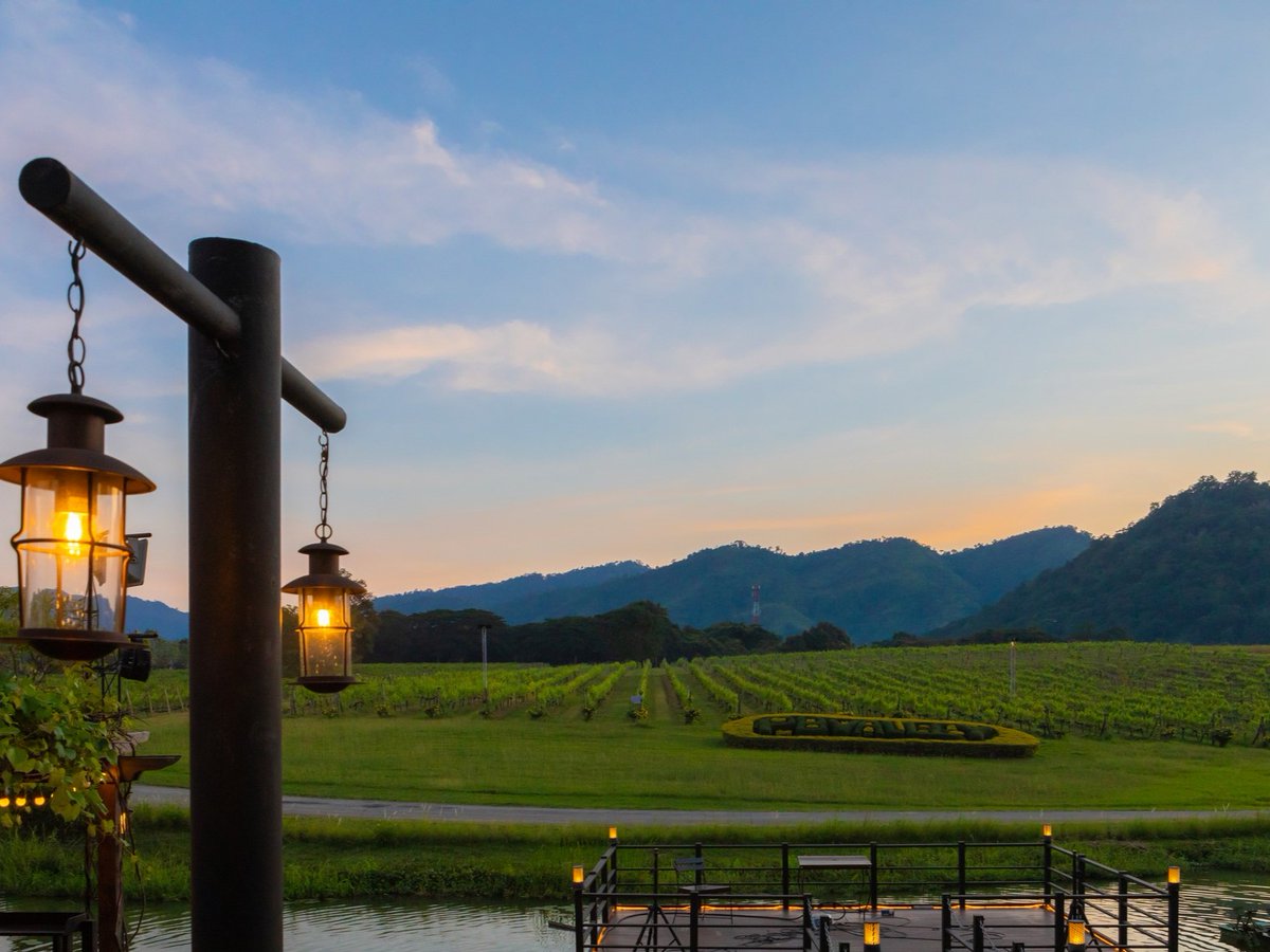 HGaksch's tweet photo. Superb dining with a great view of vineyards & gardens. #TheGreatHornbillGrill daily from 9 am to 8 pm (Fri - Sat til 10 pm) #PBValley #KhaoYaiWinery #Vineyard #Winery #WineryTime #WineryTrip #WineJourney #FarmTours #DiningwithaView #FoodandTravel #Food #Travel #Khaoyai #Thailand https://t.co/UZmmv8hjyT