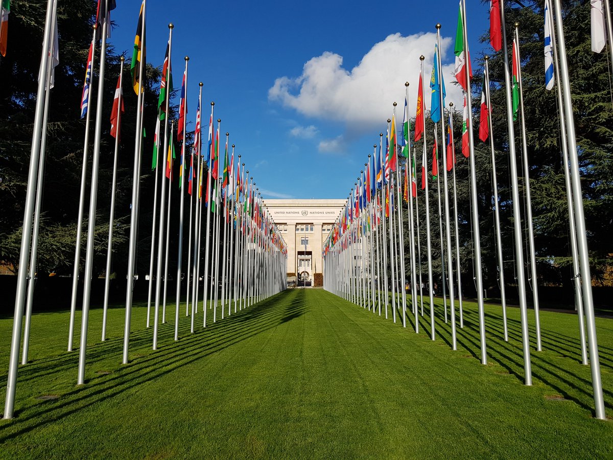 Damian H Adams tweet media