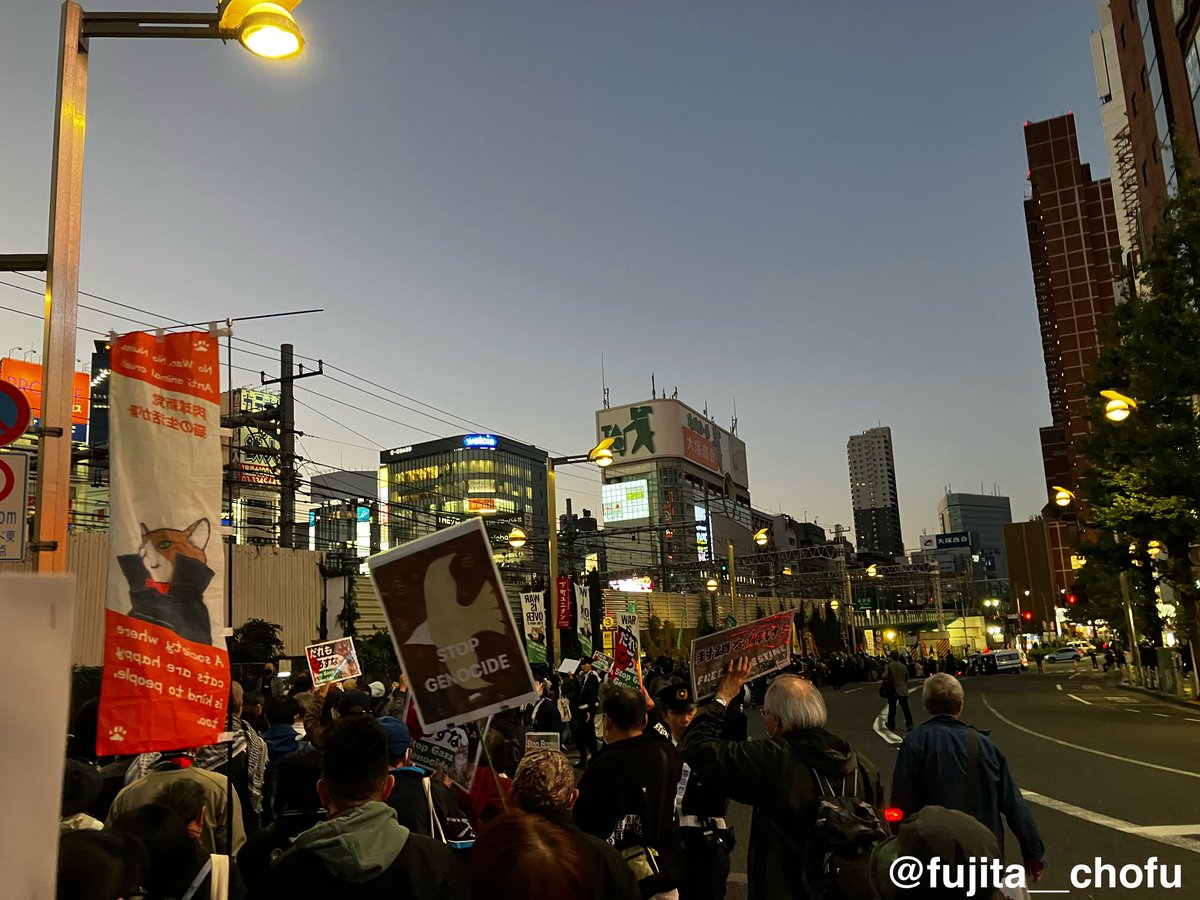 fujita_chofu's tweet photo. 『パレスチナに平和を！11･19緊急新宿デモ』に遭遇し、飛び入り参加。民間人や病院を爆撃するのは国際人道法違反。「イスラエルがガザで行っている事は戦争ではありません。ジェノサイドです、今すぐやめろ」と何人ものスピーカーが発言していました。Free Free Gaza！
#FreeGaza 
#StopGenocide https://t.co/Gbs78jcZwb