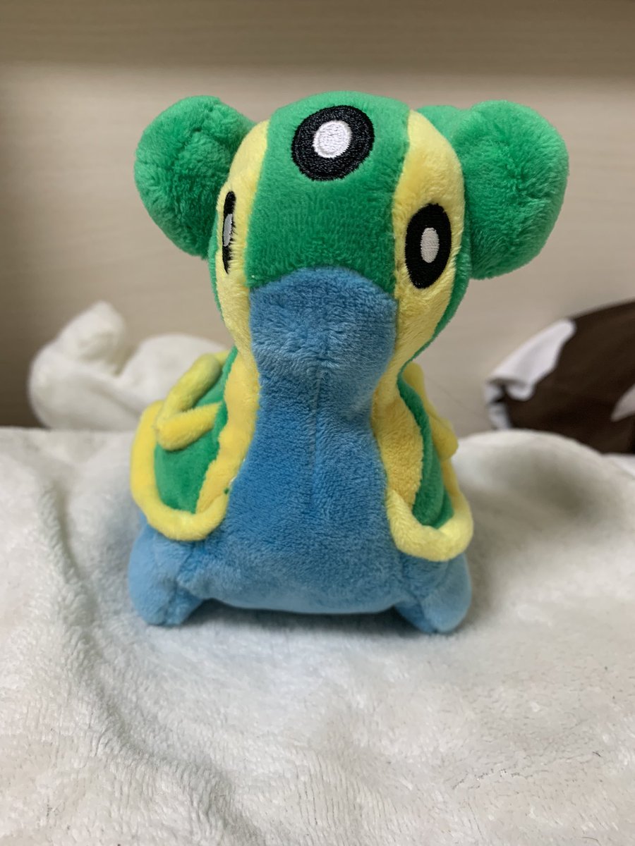 Shellos_posting's tweet image. Getting comfy!!