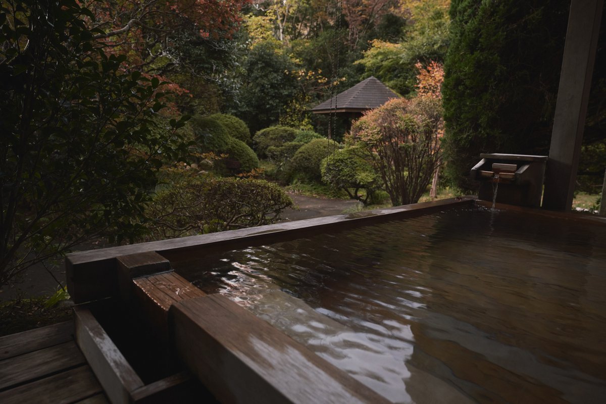 一昨日は伊豆にある「御宿さか屋」さんに1泊して温泉を堪能してきました♨
ロビーから客室まで移動するには、敷地内にある川の上の廊下を通るという素敵な造りになっていました！

#SIGMA 
#1424mmF28DGDN
#SONYα7RIII #α7Riii
#御宿さか屋