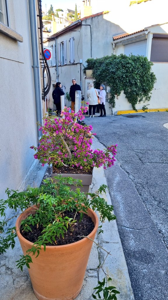 Mairie des 6e et 8e arrondissements de Marseille tweet media