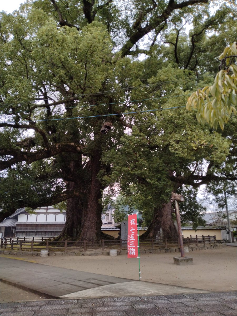 elta1024's tweet photo. くるめ博のイベントで久留米の善導寺で写経と参拝の会です。筑後浄土宗の有志のお坊様達の授手の会が主催です。法然上人の一枚起請文を写経しました。読経礼拝の後一人づつ隣の部屋に入り、写経中はずっと読経をしてくださるという初めの体験でした https://t.co/X1LkBBPKpV