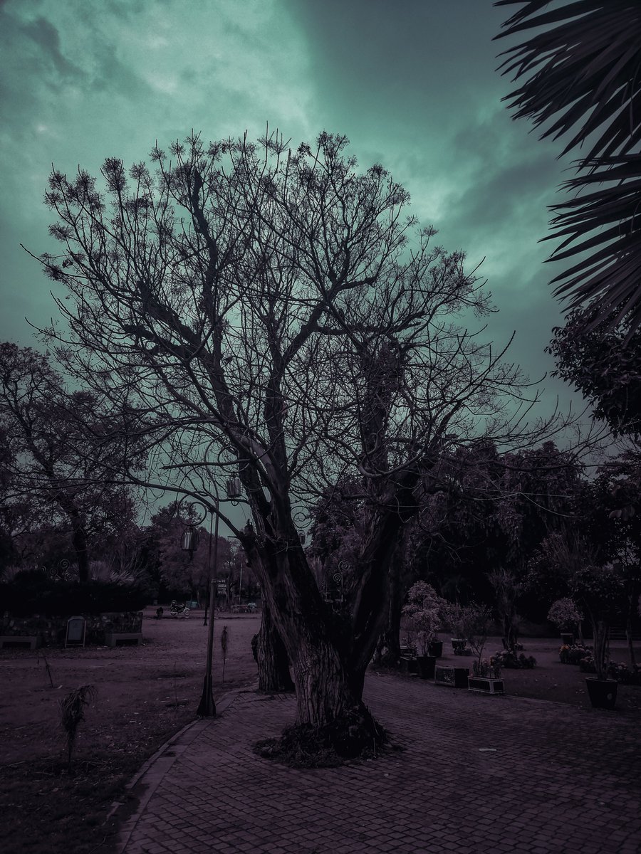 Truth about you

opensea.io/assets/ethereu…

#NFT