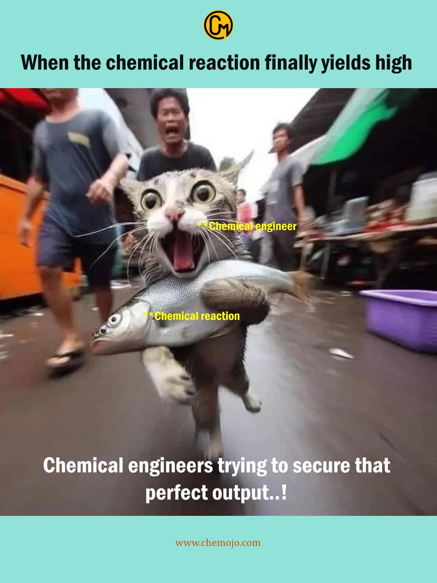 chem_mojo's tweet photo. "Chemical Engineers chasing the perfect reaction yield like π±π #ChemicalEngineering #OptimalYield #ScienceHumor" https://t.co/UP4fyYuE98