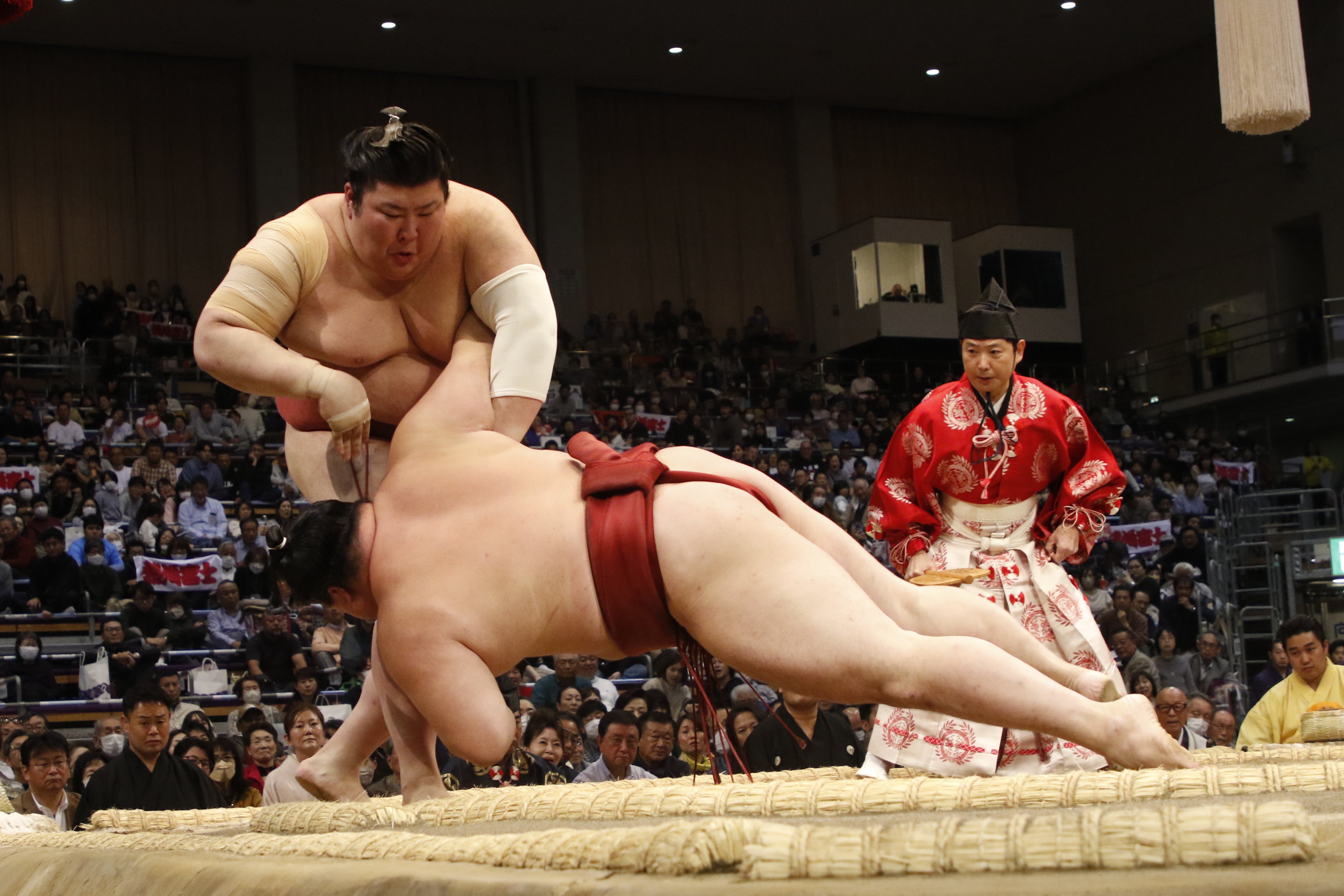 日本相撲協会公式 on X: 日本相撲協会公式 on X: