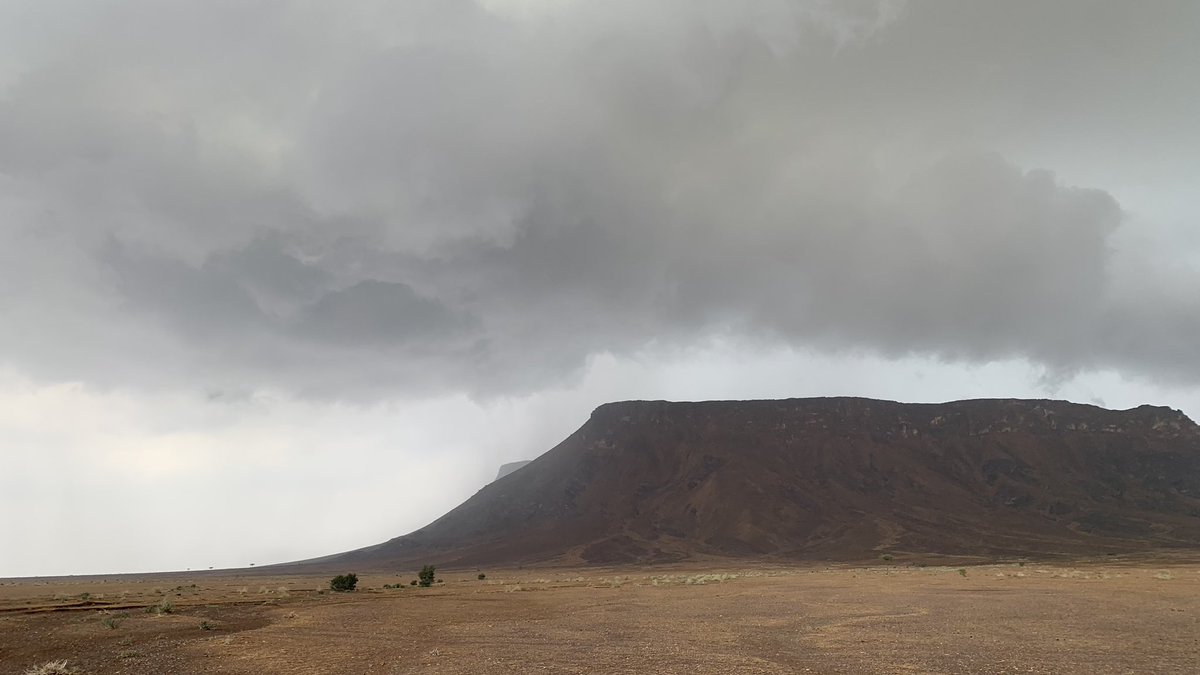 ابوتميم البشري tweet media