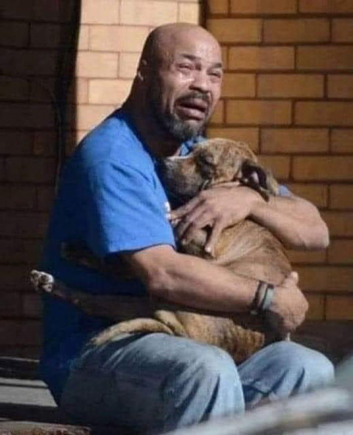 darkbluechild's tweet photo. Sevgili insanım, ağladığını görüyorum çünkü artık gitme vaktim geldi. Lütfen ağlama. Sana bazı şeyleri açıklamak istiyorum. Gittiğim için üzgünsün ama ben seninle tanıştığıma çok memnunum. Senin gibi özel biriyle tanışmadan,benim gibi kaç köpek var hergün ölen.Gidişime üzüldüğünü biliyorum ama şimdi gitmek zorunda kaldım.Senden kendini suçlamamanı rica ediyorum.Seni duydum. Benim için daha fazlasını yapmalıydın diye ağlıyorsun. Öyle deme, benim için çok şey yaptın! Sen olmasaydın, bugün yanımda taşıdığım güzelliklerin hiçbirini bilemezdim. Biz hayvanların sevgiyi bildiğimizde başlar hayatımız.Lütfen artık ağlama. Mutlu ayrılıyorum. Bana verdiğin ismi, o zamanlar benim olan evinizin sıcaklığını hatırlıyorum. Bana ne dediğini her zaman anlamasam da benimle konuşan sesini duyuyorum. Bana verdiğin her okşamayı kalbimde taşıyorum.Yüzünü yıka ve gülümsemeye başla. Senin gibi birini bekleyen benim gibi birçok arkadaşım var. Lütfen bana verdiklerini onlara ver, benim sana ihtiyacım olduğu gibi onların da buna ihtiyacı var.

Yazarı Bilinmiyor.