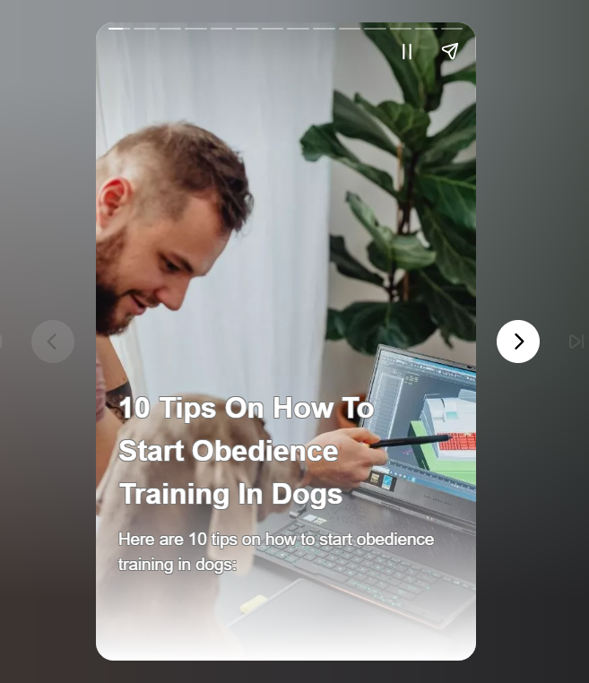 Training your dog to be obedient is an important part of being a responsible dog owner. Not only does obedience training help you establish a stronger bond with your dog, but it can also make your dog's life happier 

webstories.today/watch/obedienc…

#dogs