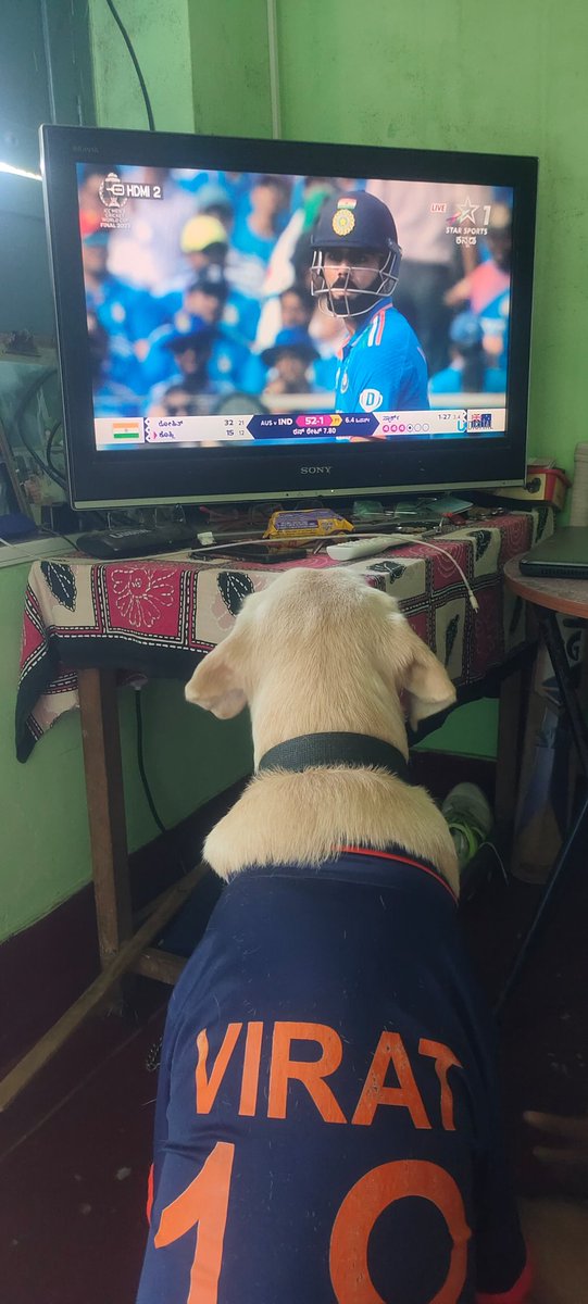 jassisinghmp's tweet photo. A New Supporter of #ViratKohli𓃵 
Fan Boy🐶🐕
#Viratians #INDvsAUSfinal #Worldcupfinal2023 #KLRahul #SachinTendulkar𓃵 #RohithSharma𓃵 https://t.co/w8jf6o1iig