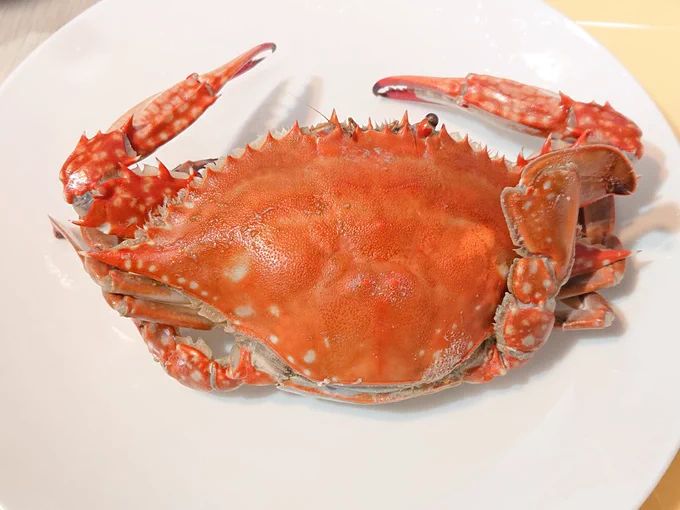 ボイルワタリガニ!!!しかも!!!メス!!!!!胸肉…!!ムチムチでうまああああい!!!! 