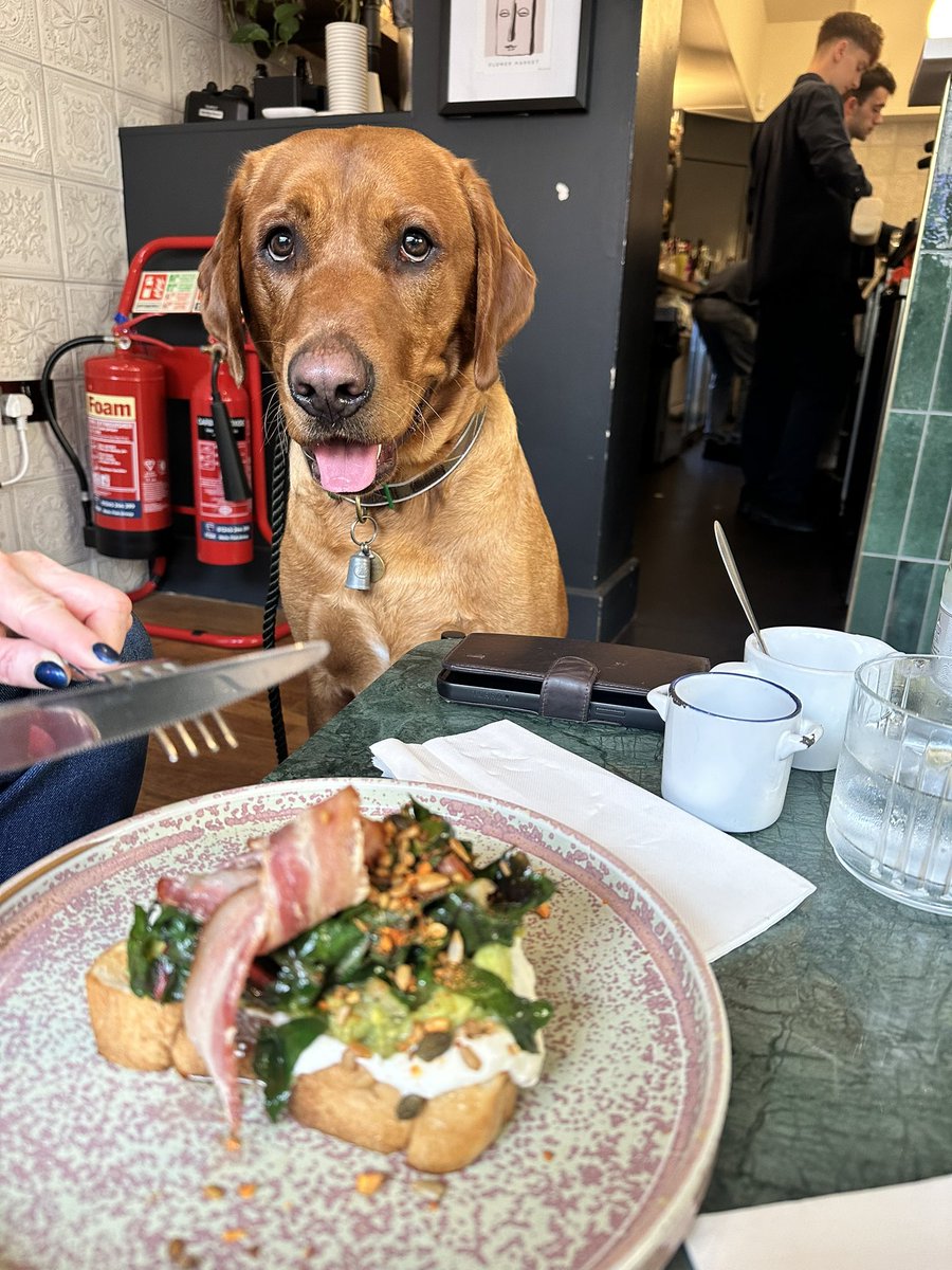 Iz dat bacon homum? I likesz da bacon