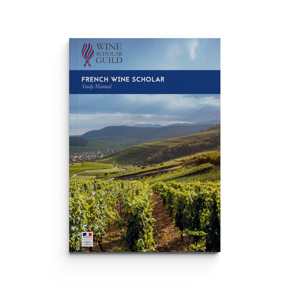 Shropswines's tweet photo. Our French Wine Scholar event continues with an in-depth look at the wines of #Bordeaux, #Languedoc, #Roussillon and SW France.  Some fantastic wines today! @winescholarguild https://t.co/PR0iMTvJhw