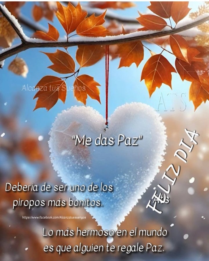 trinisantiago57's tweet photo. #APOYOROCIO19N💜💫
Feliz Dia
#NoMasSilencio
#ADMALTRATADOR
#OMCOMPLICE
#SiempreContigo #Rocio 💜💜💜💜 https://t.co/rnEC98351Z