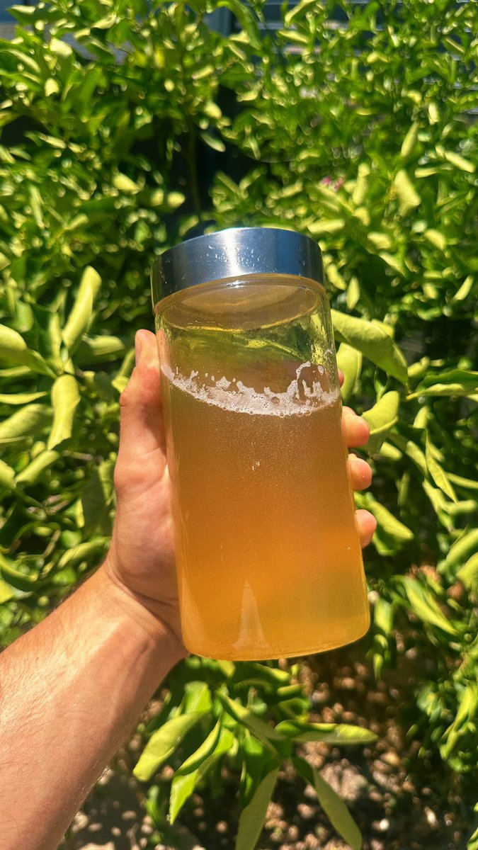 𓄀 🌞 Sol Brah 🌞 𓄀 (@SolBrah)  X