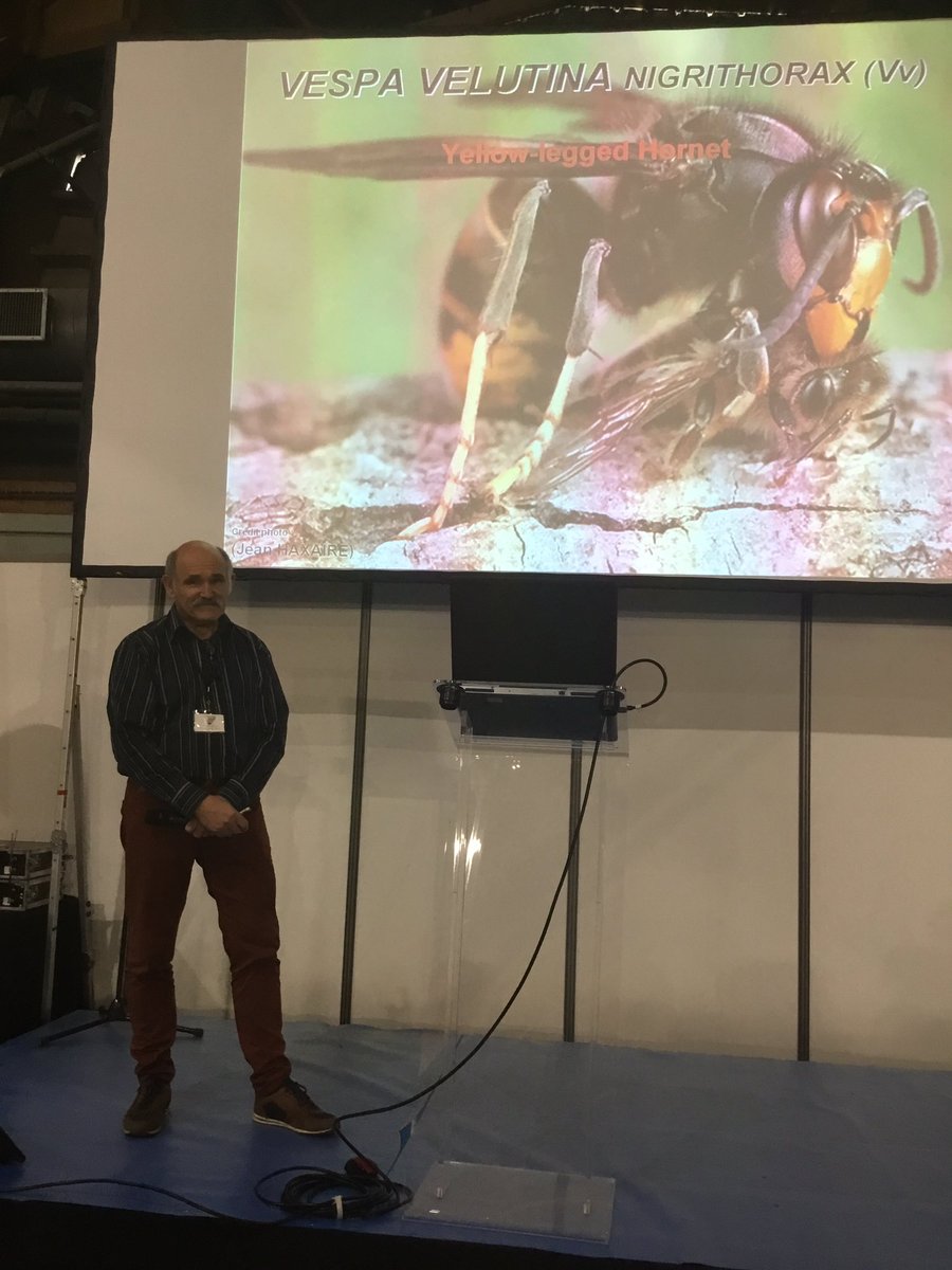 AbeilleDeFrance's tweet image. #Vespa velutina s invite au #SimApi…