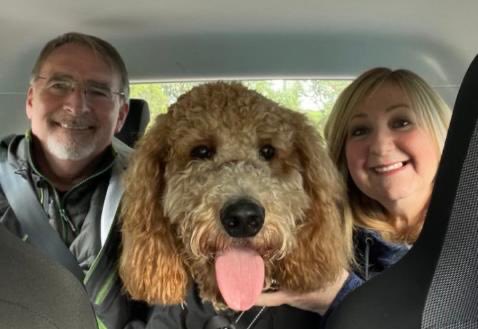 revPACman's tweet photo. Two years old! What joy, love and affection Dylan has brought to the Rectory and our family. Can’t imagine life without him! #AustralianLabradoodle https://t.co/nfCmkQP1tV