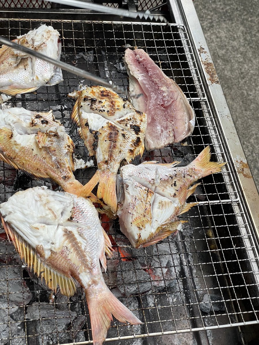 稲取の休日
大漁の一日だった
の、あとはバーベキュー😍
自分で釣った魚はメチャうまいです

#休日　#焼き魚　#いなとり