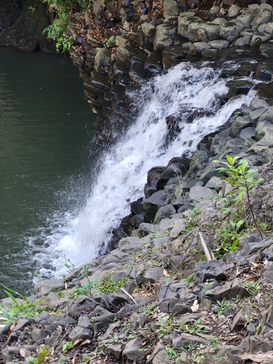 🧸🏝️🏀 Day 5: Win #3 of the season and waterfalls! <a href="/pollonpreps/">Jack Pollon</a> <a href="/myBurbankSports/">myBurbank Sports</a>