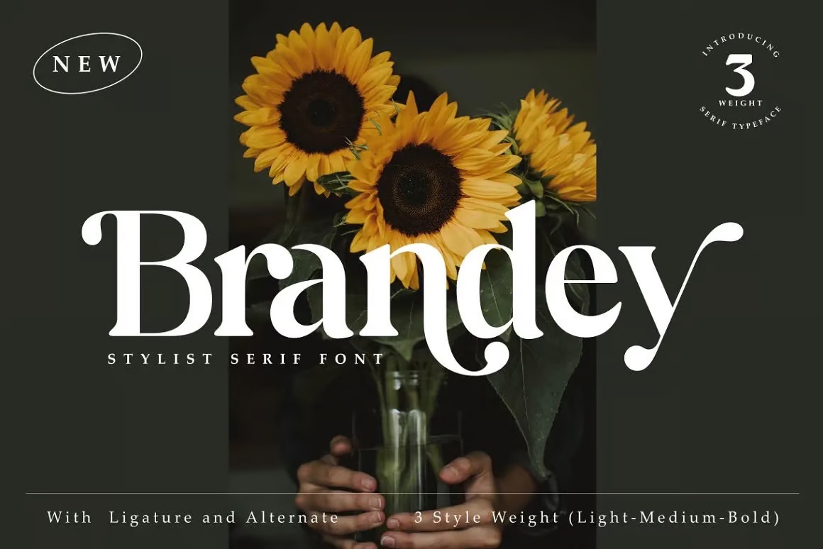 🟡 32 serif fonts free for personal use

A beautiful collection!

→
creatorstoolbox.co/p/30-free-seri…