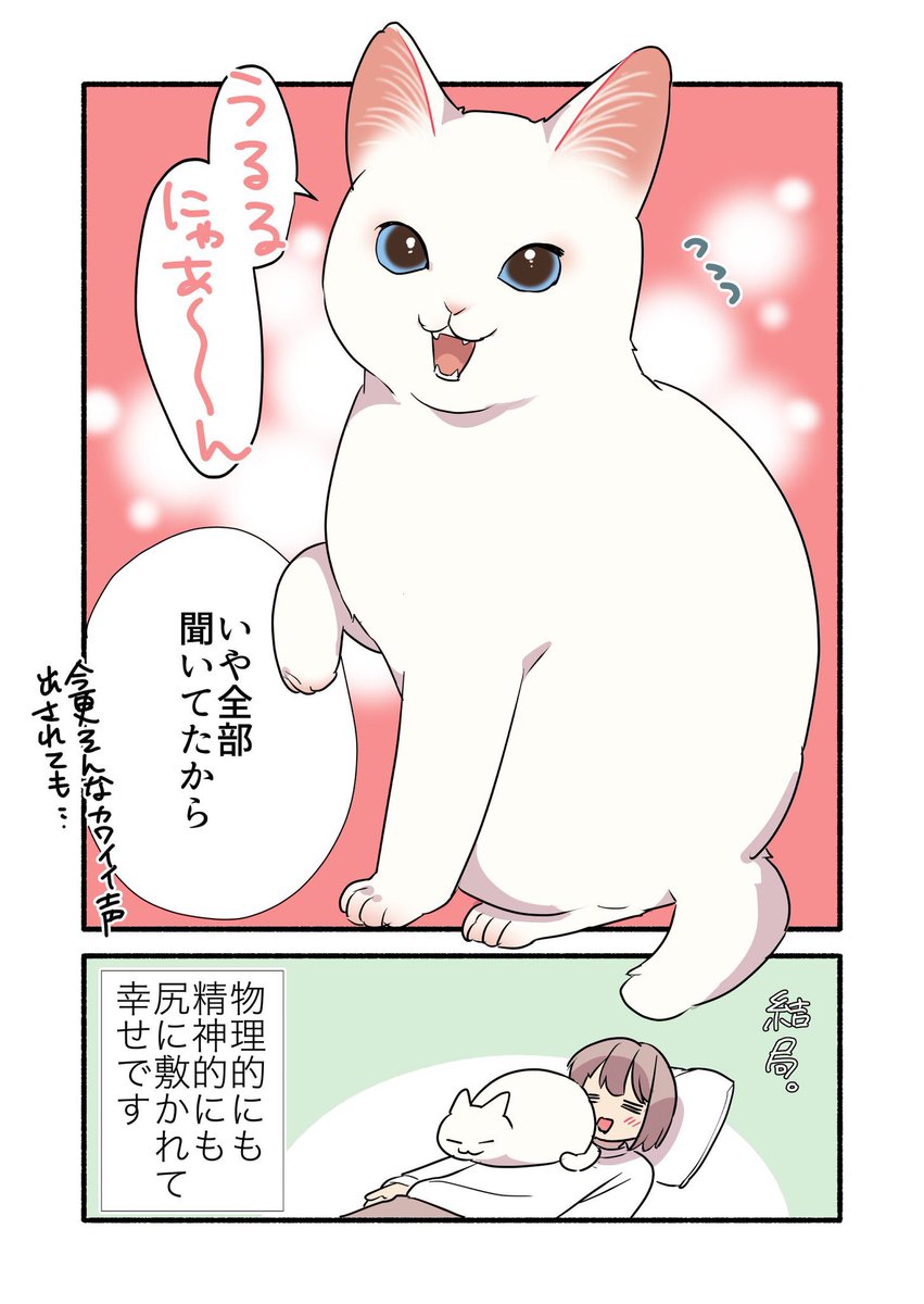 甘えんぼ猫が甘えられない時の話(2/2) #漫画が読めるハッシュタグ #愛されたがりの白猫ミコさん