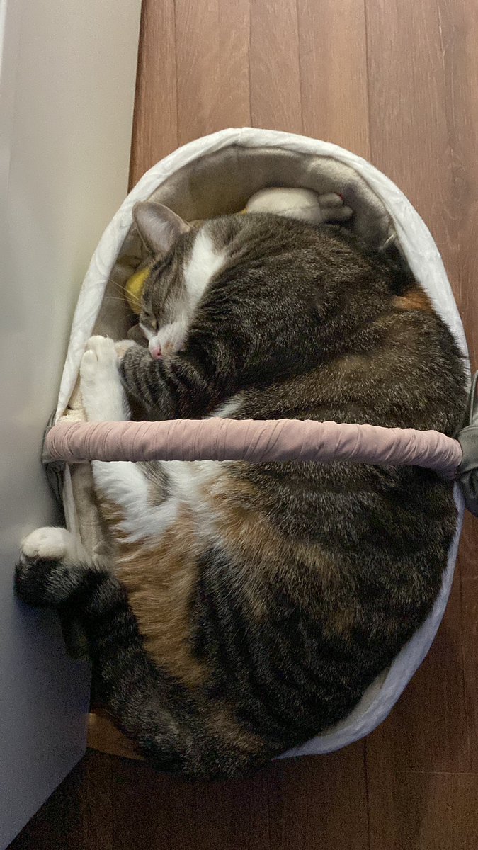 Çok sovuk günü erken bitiriyorum iyi geçeler