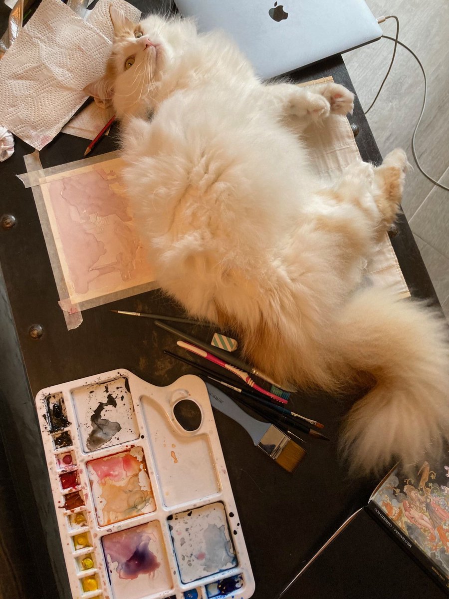 SHErlock 🔎🎀 🍋 ☃️ tweet media