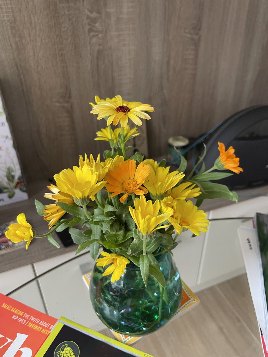 Last of the summer #cuttinggarden #allotment #flowers