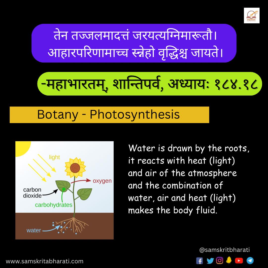 sbdtn2022's tweet photo. ज्ञानभाषा संस्कृतम् - विज्ञानम्

.
.
.

#samskrit4all #samskritweek23
#संस्कृत #Sanskrit #Samskrit #Knowledge #Sanskrit4Youth #ज्ञानभाषा #संस्कृतवार्ताः #वार्तावली #Sayyestosanskrit #भाषाप्रवेशः #जयतु_संस्कृतम्_जयतु_भारतम् https://t.co/iVIOdzn4aF
