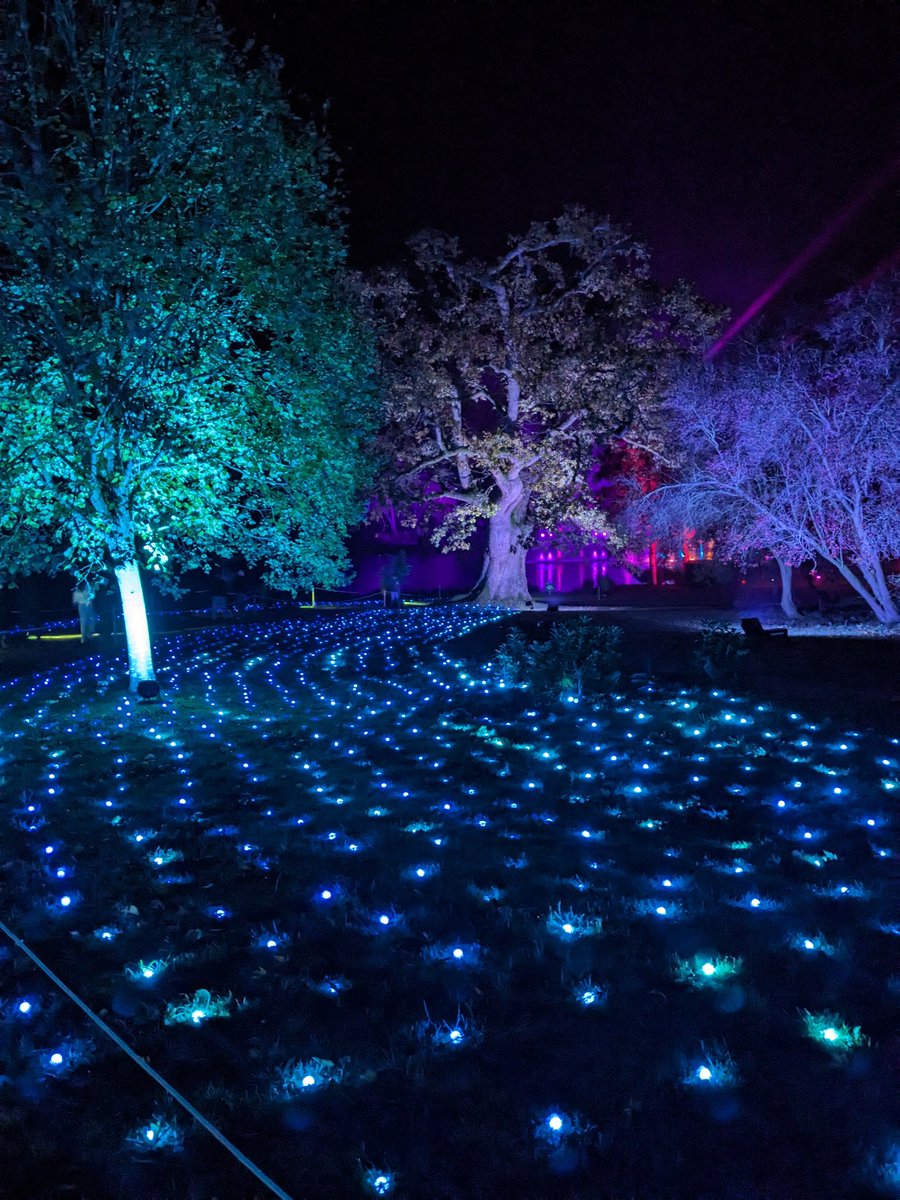 LucyParford's tweet photo. Dazzling evening exploring the magical illuminated light trail at Blenheim Palace ✨ 

It runs until 1 Jan 

@BlenheimPalace #lighttrail #event  #november #evening #festive #lights #woodstock #oxfordshire #glow https://t.co/TqQeDRFZJQ