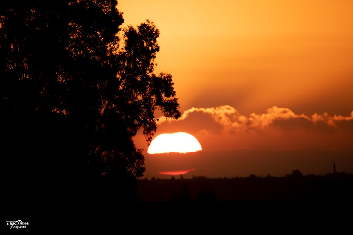 OhadOmesi's tweet photo. הזריחה המושלמת שהגיעה הבוקר ממש לפני תחילת הסערה...
קצת נחת בתוך כל הטירוף.
שבוע מבורך עם המון בשורות טובות! https://t.co/AXjmV1W7ZP