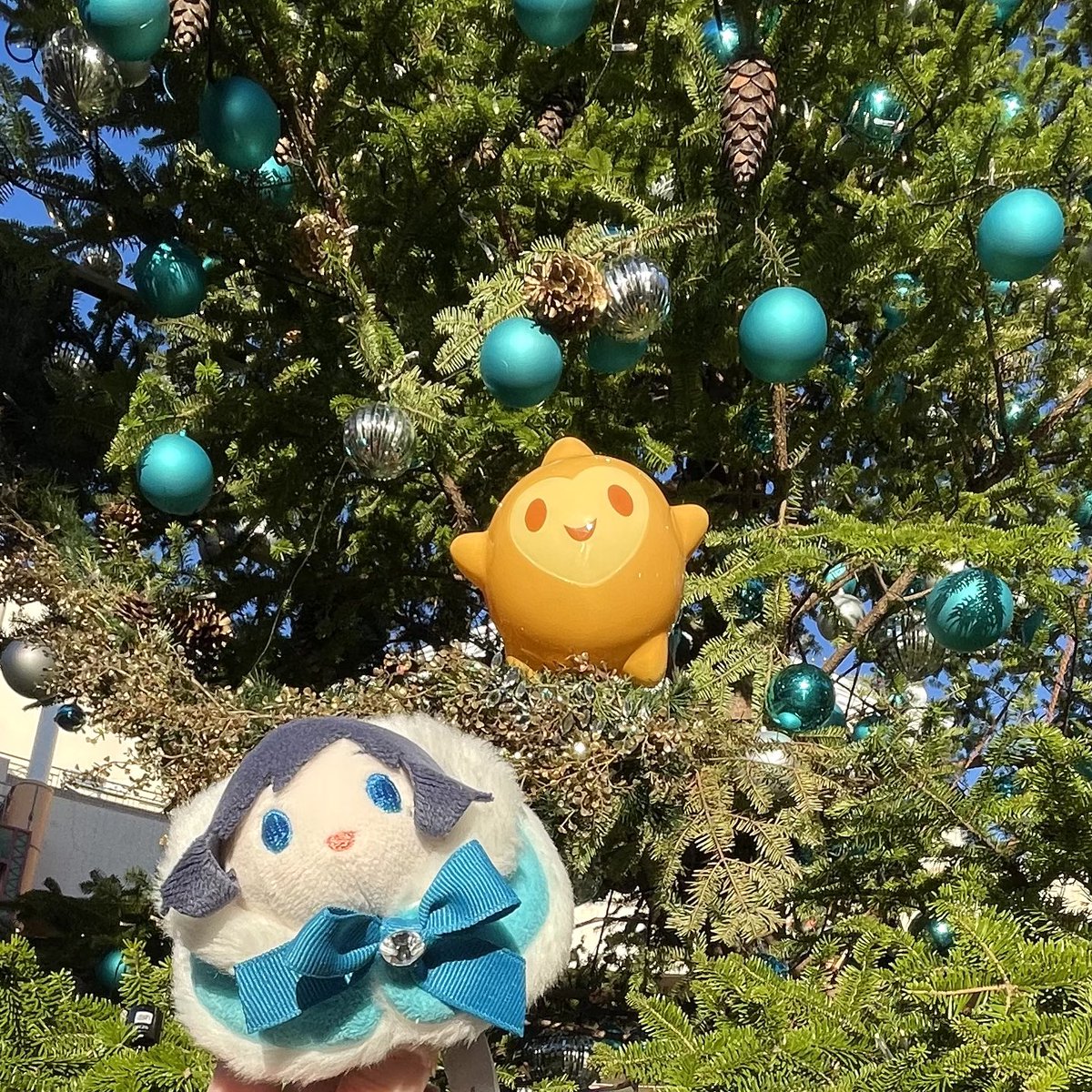 kuko(くこ) tweet media