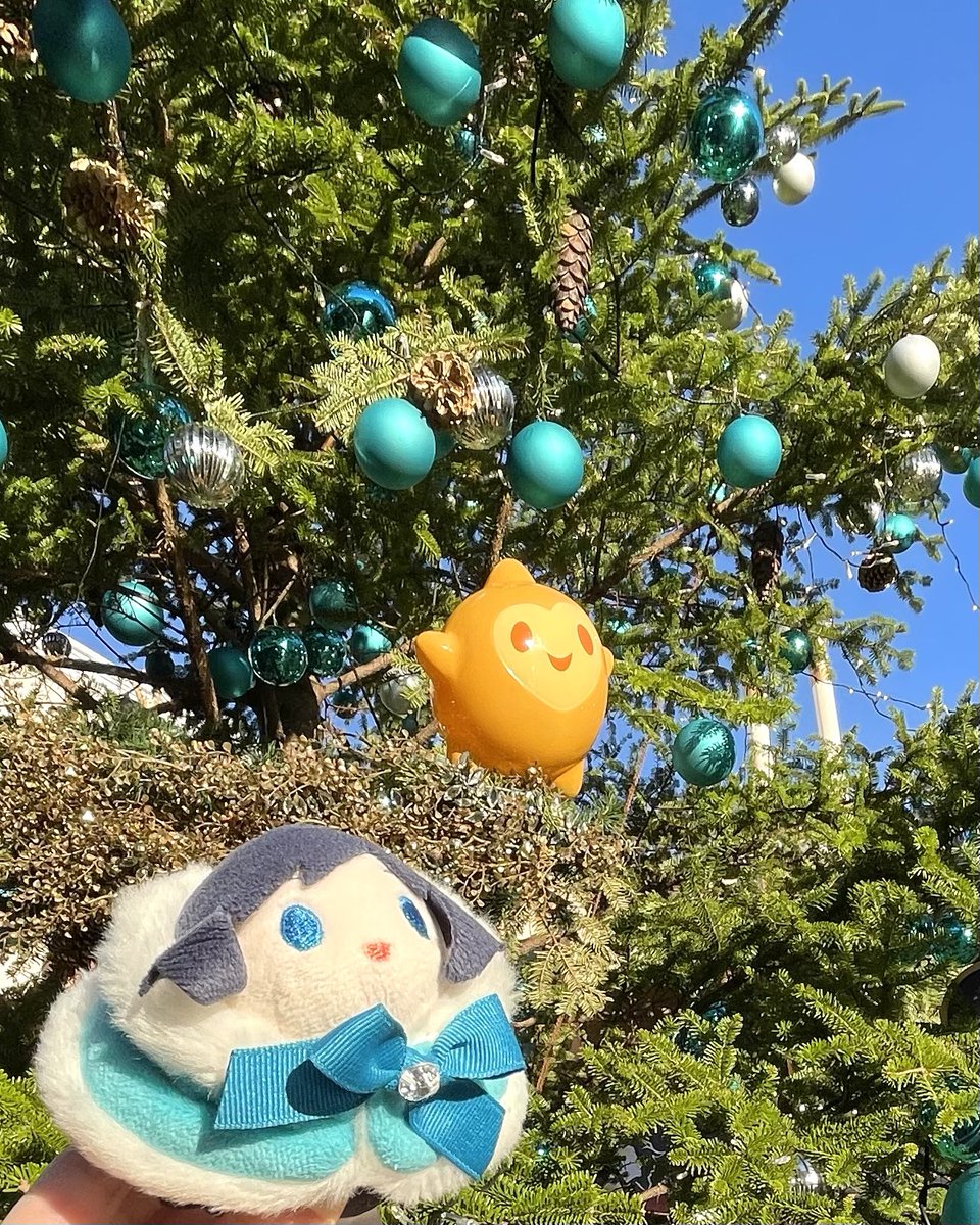 kuko(くこ) tweet media