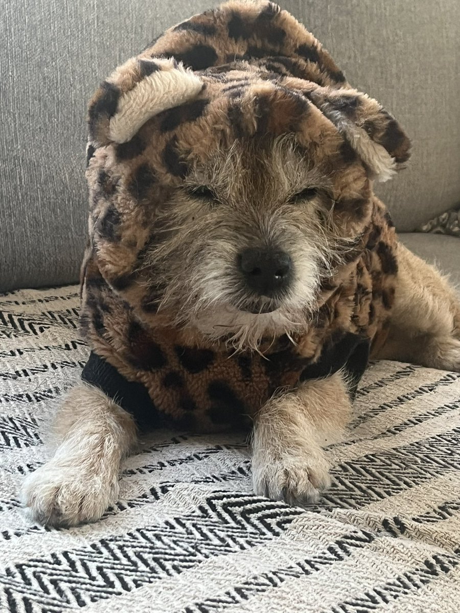 Today -16c ❄️

#NeedSummer #Sunday #doglife