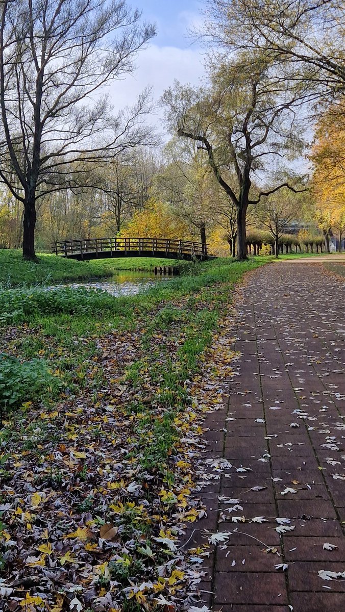 71esther's tweet image. Jeetje ... 2e van de wereld 🌍 en dat terwijl het voor geen meter ging @loopmaatjes 🏃‍♂️🏃🏻🏃🏻‍♀️
en @hardloopvriend 
Maar hé ... #alwaysontherun en #nevernotrunning 😉
Bekijk mijn 2e plaats Prestatie voor dit segment op Strava strava.app.link/kgCdRrtTQEb