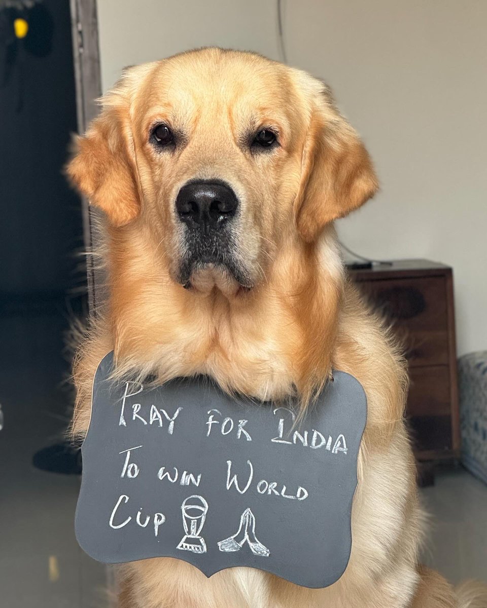 Pray for Team India 🙏
#oscarwonderpup #cricketworldcup