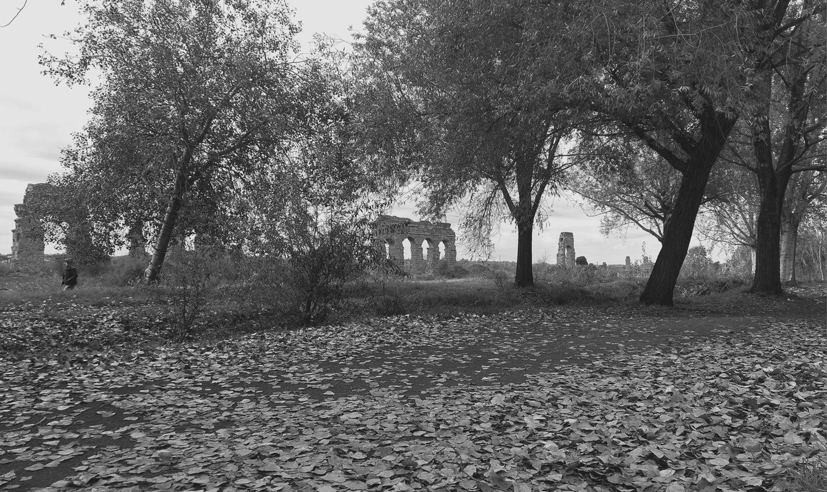 Autumn in the <a href="/parcoacquedotti/">Parco Acquedotti</a> <a href="/parcoappia/">Parco Appia Antica</a>