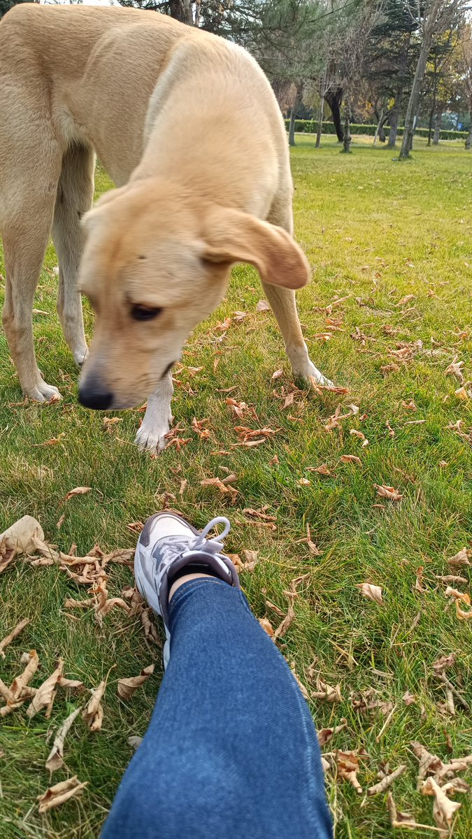 Rastgele bir fotoğraf ya da her şey yanlış gidecek