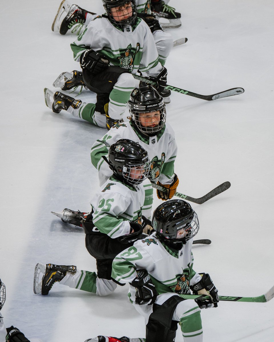 Hockey Super League tweet media