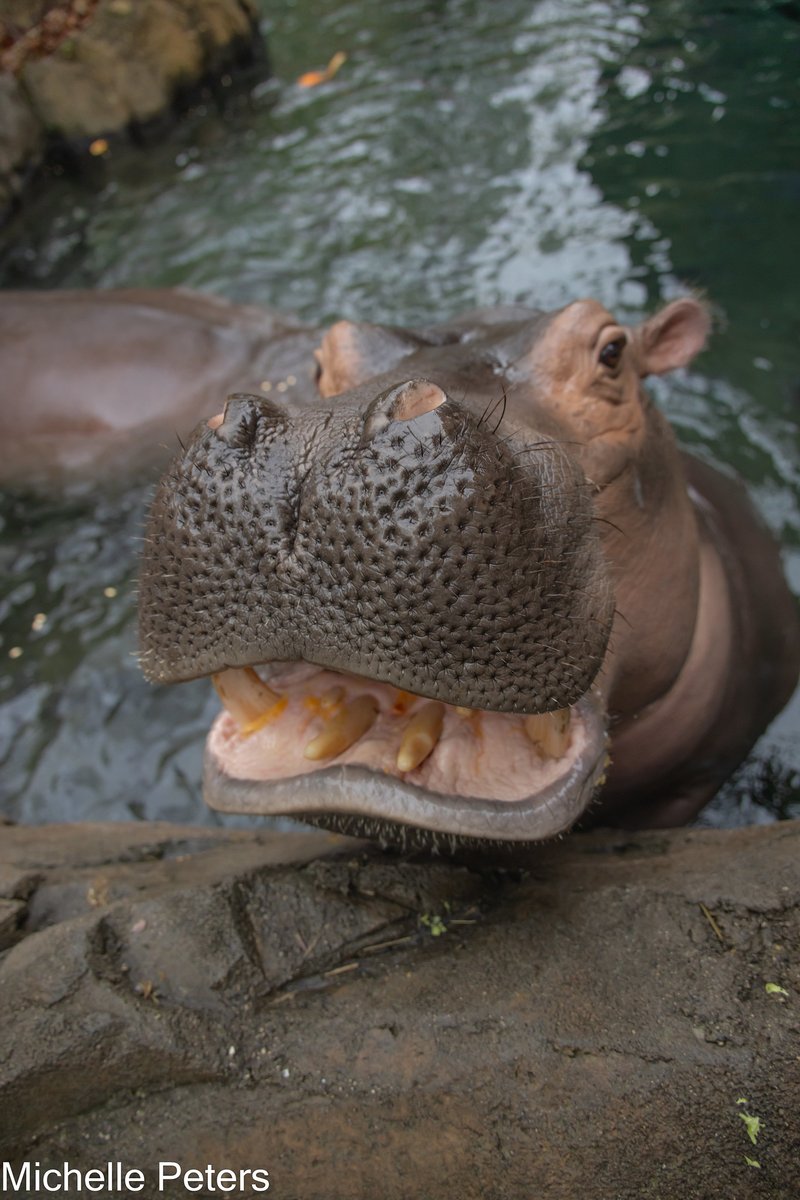 All smiles from Fiona!