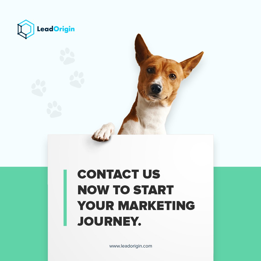 🐾 Today’s Client Spotlight is Mushy Beds! 🛏️✨ Check out the pawsitively adorable work we've done for them.

#ClientSpotlight #MushyBeds #Houston #Austin #MushyBeds #Leadorigin #DisplayAds #Socialmedia #DigitalMarketing