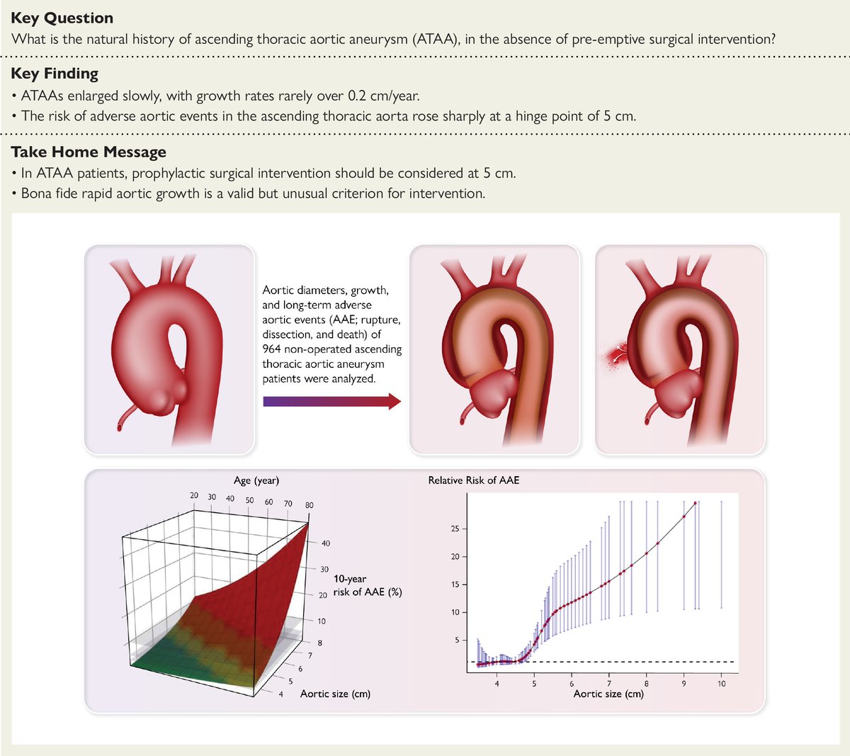 EHJ Editor-in-Chief (@ehj_ed) on Twitter photo The ‘true’ natural history of ascending thoracic aortic aneurysm. Read the three-decade experience from the Aortic Institute at Yale University in #EHJ.
doi.org/10.1093/eurhea…
#aortic #aneurysm #cardiotwitter <a href="/ESC_Journals/">European Society of Cardiology Journals</a> <a href="/escardio/">European Society of Cardiology</a>. The ‘true’ natural history of ascending thoracic aortic aneurysm. Read the three-decade experience from the Aortic Institute at Yale University in #EHJ.
doi.org/10.1093/eurhea…
#aortic #aneurysm #cardiotwitter <a href="/ESC_Journals/">European Society of Cardiology Journals</a> <a href="/escardio/">European Society of Cardiology</a>.